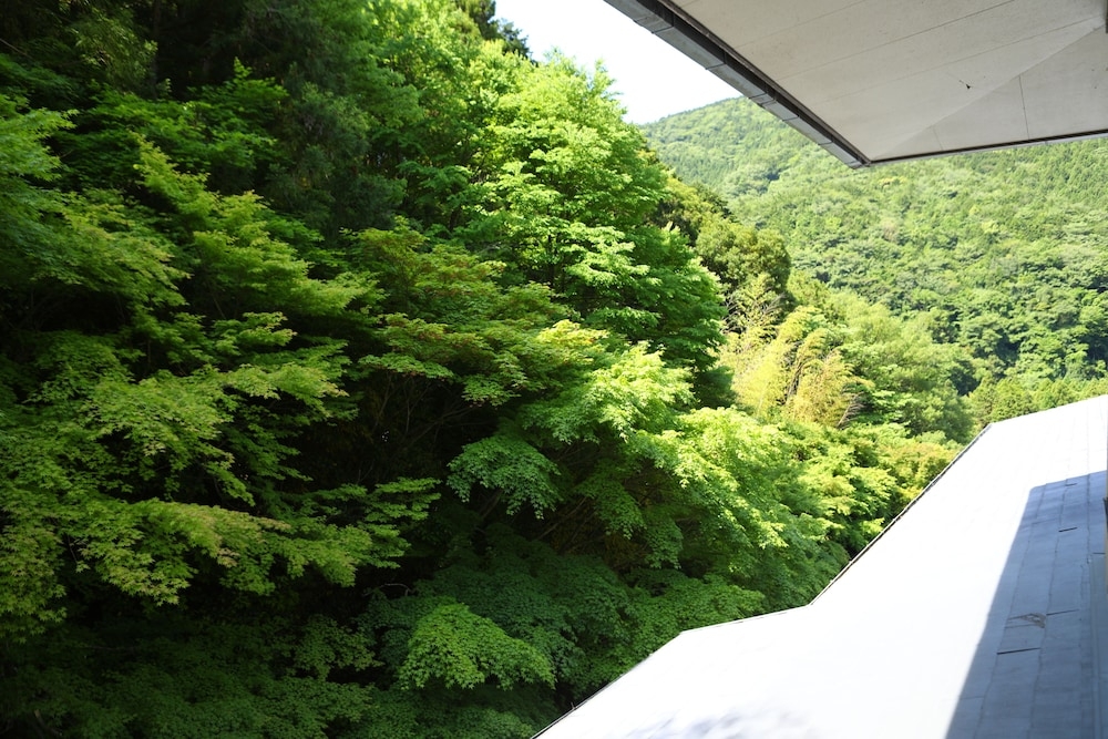 객실에서 보이는 전망