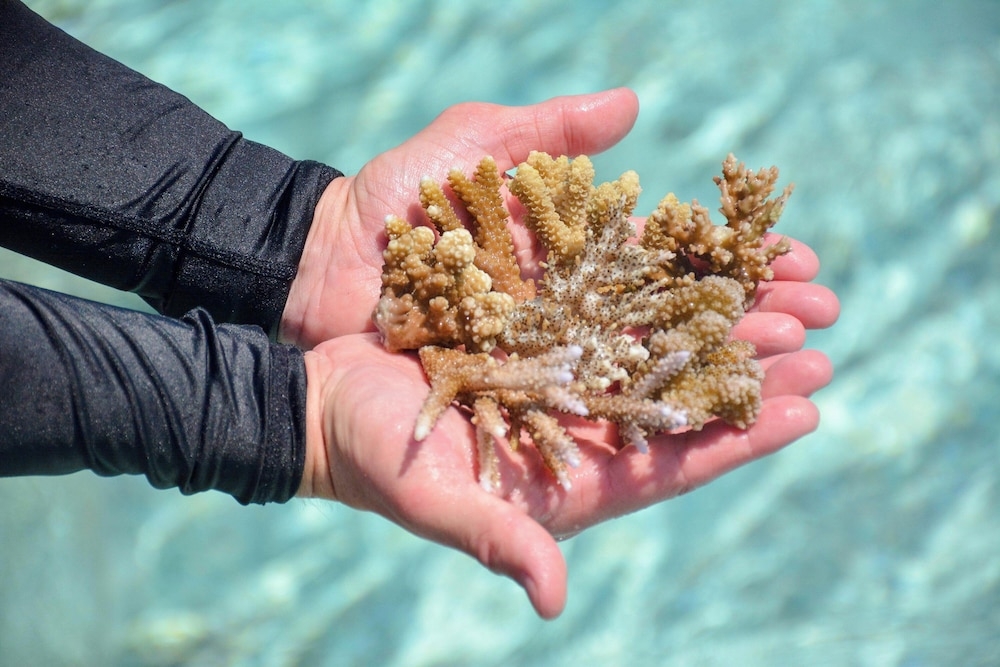 숙박 시설 내 편의 시설/서비스