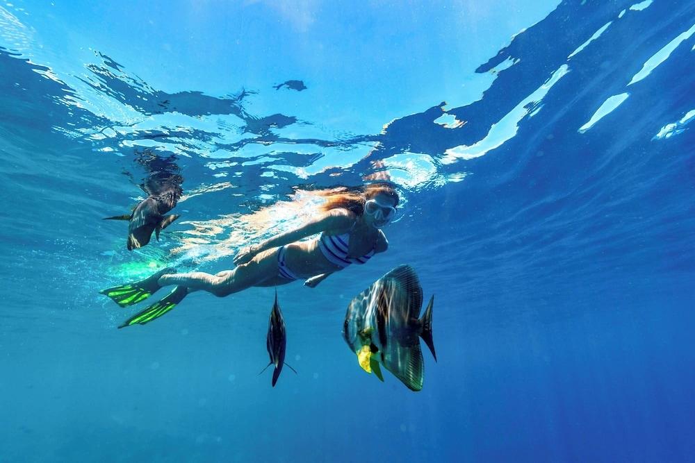 숙박 시설 내 편의 시설/서비스