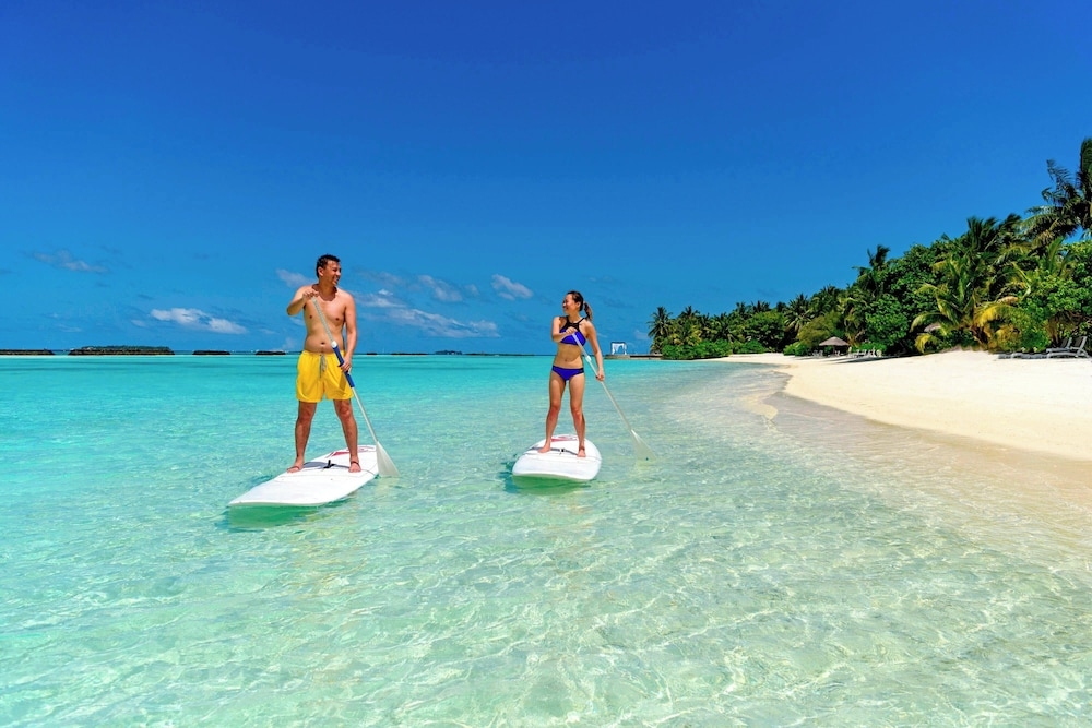 서핑/부기 보드