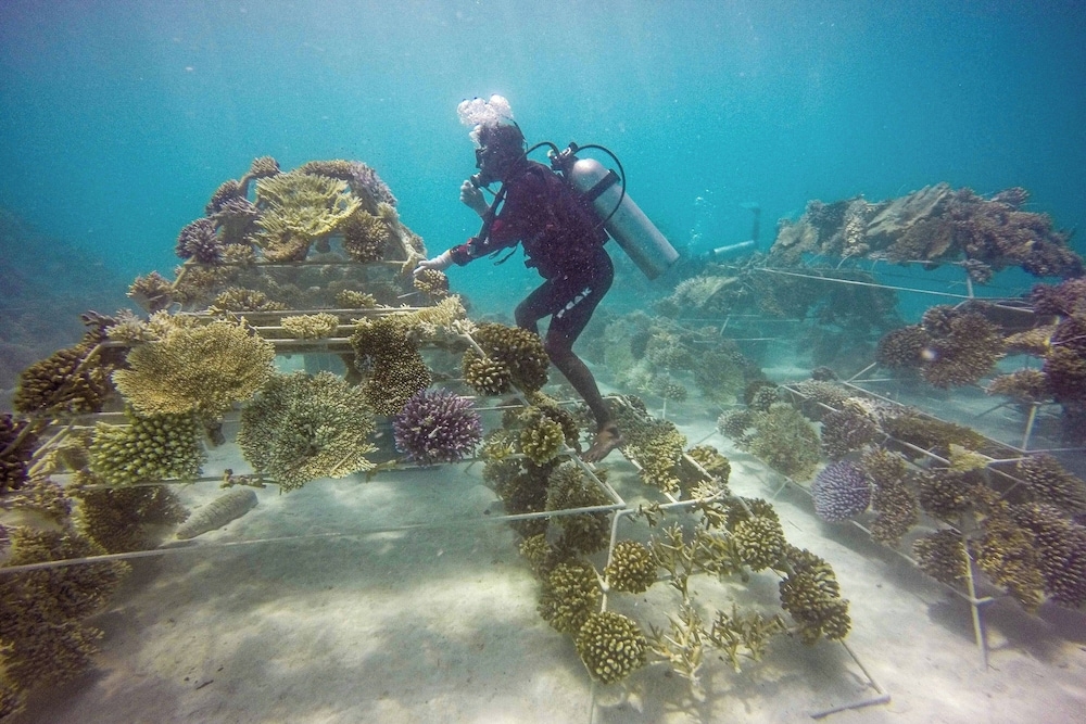 숙박 시설 내 편의 시설/서비스