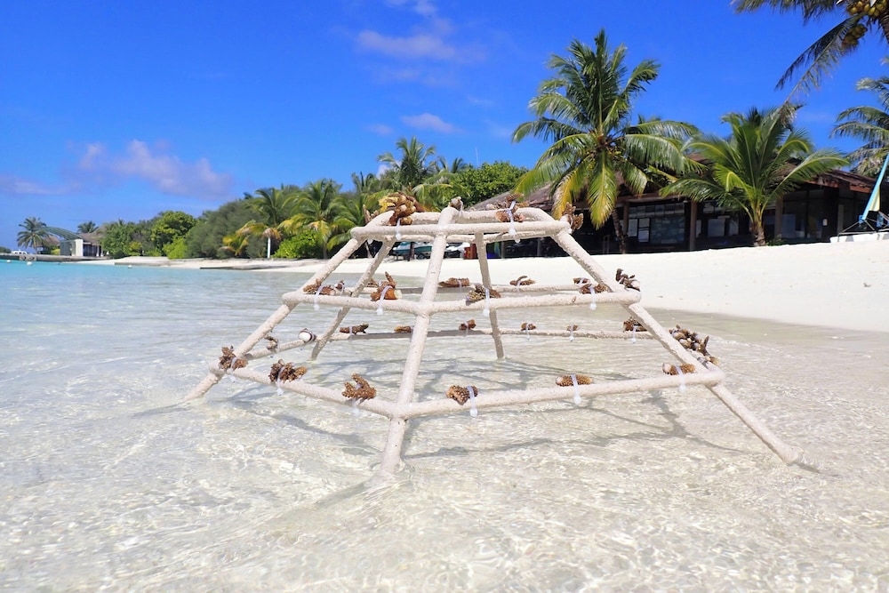숙박 시설 내 편의 시설/서비스