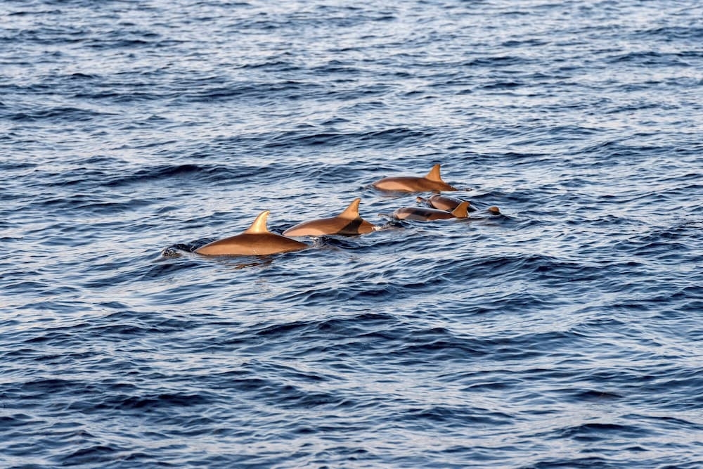 숙박 시설 내 편의 시설/서비스