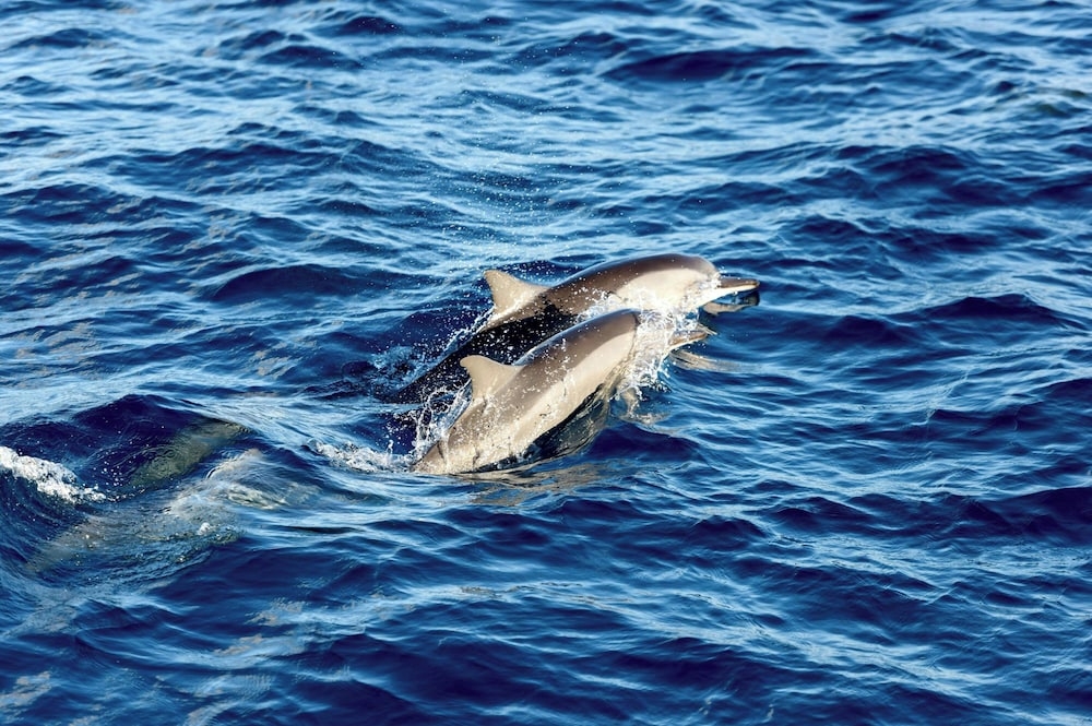 숙박 시설 내 편의 시설/서비스