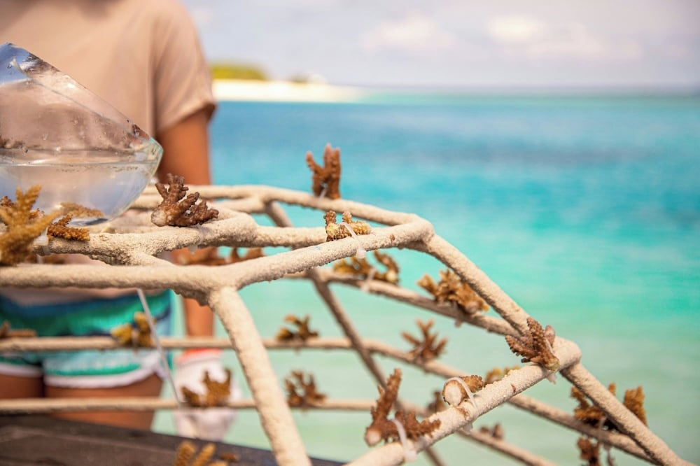 숙박 시설 내 편의 시설/서비스