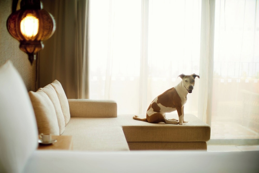 숙박 시설 내 편의 시설/서비스