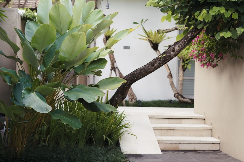 외부 세부 사진