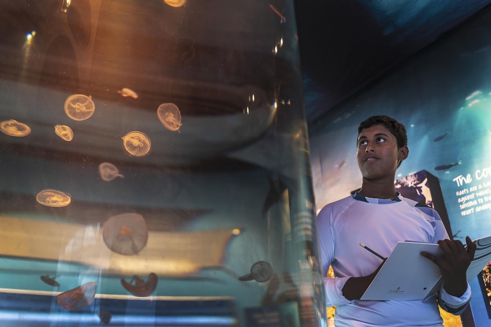 어린이 놀이 공간 - 실내