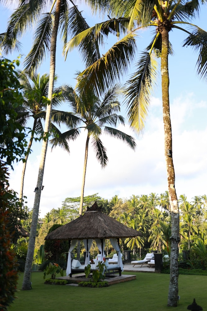 외부 세부 사진