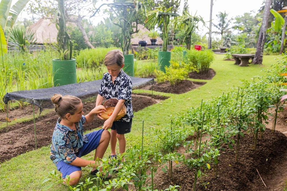 어린이 즐길거리
