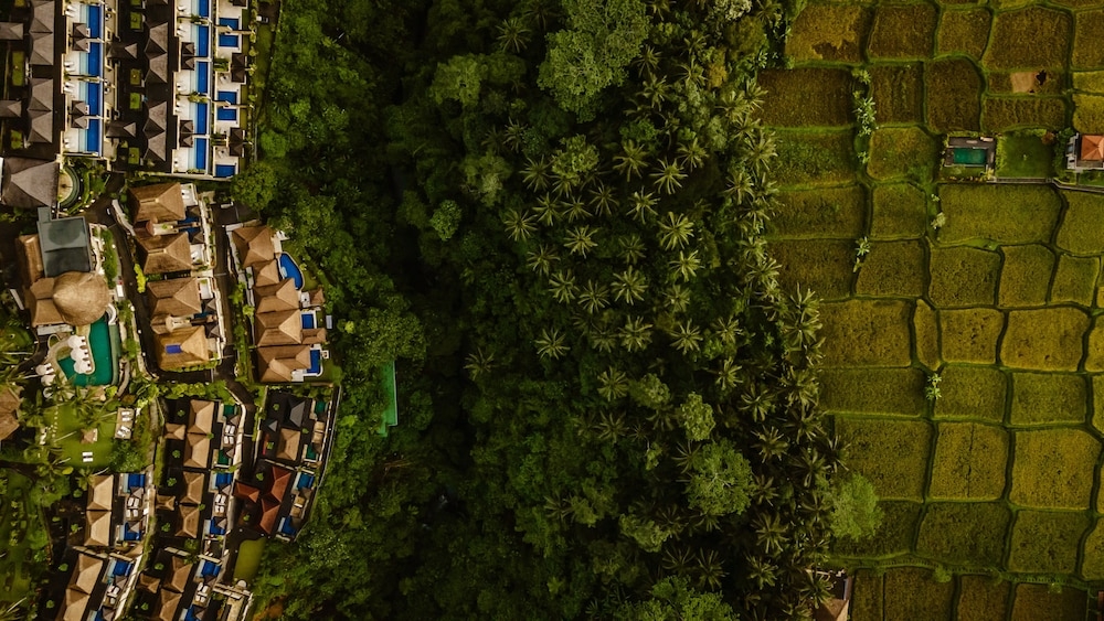 숙박 시설에서 보는 주변 전망