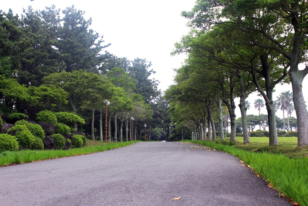 숙박 시설 내 편의 시설/서비스