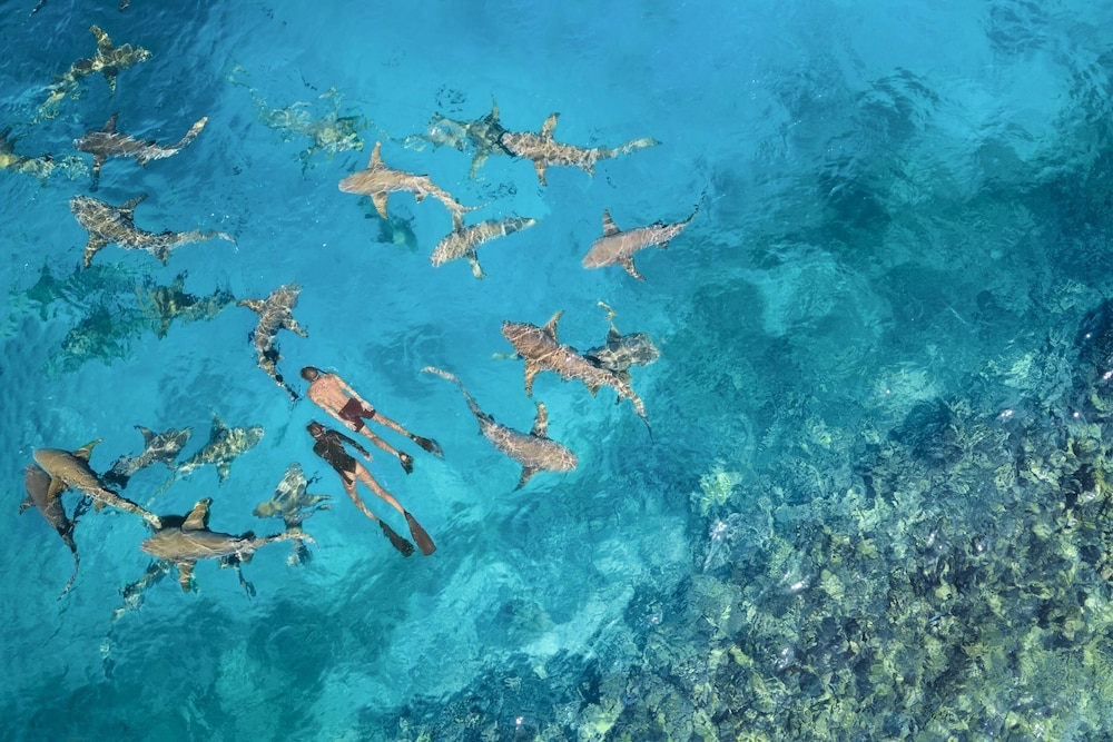 숙박 시설 내 편의 시설/서비스