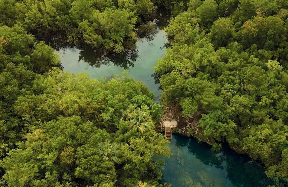 숙박 시설 내 편의 시설/서비스
