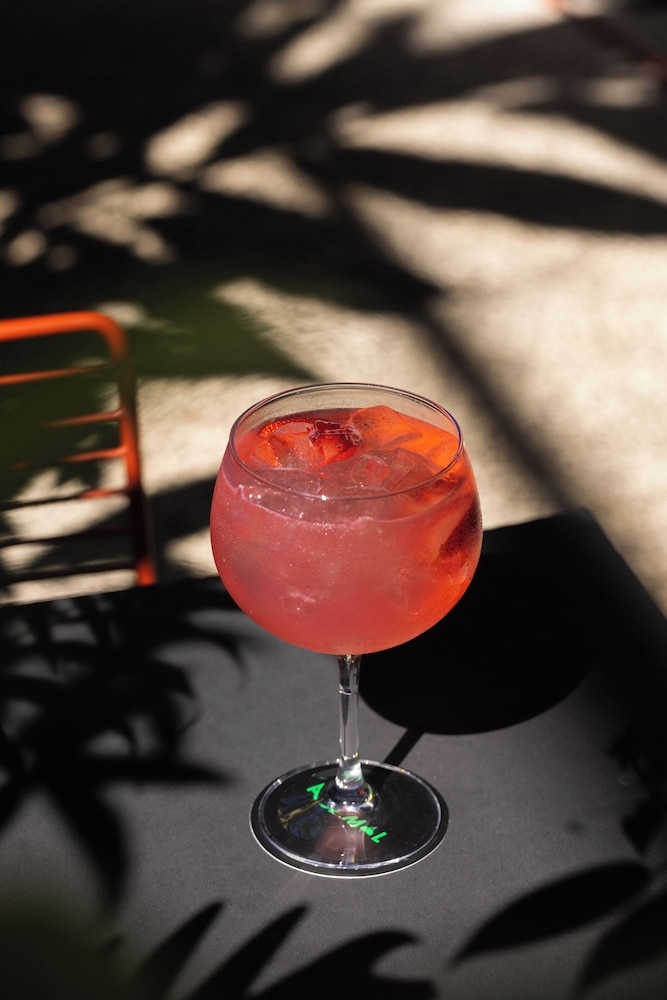 바(숙박 시설 내)