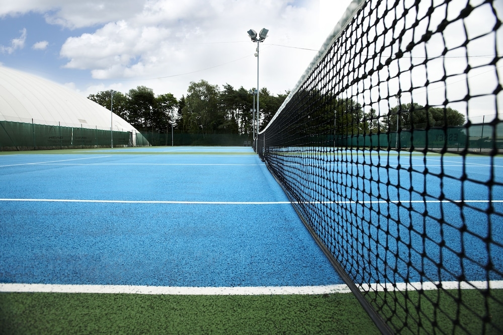 테니스 코트