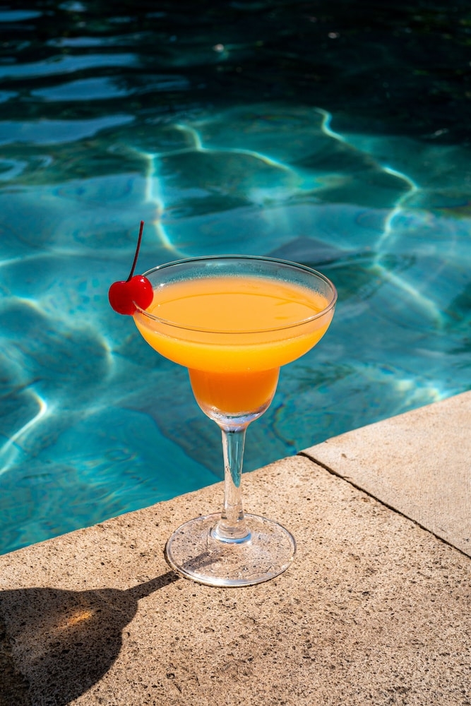 바(숙박 시설 내)