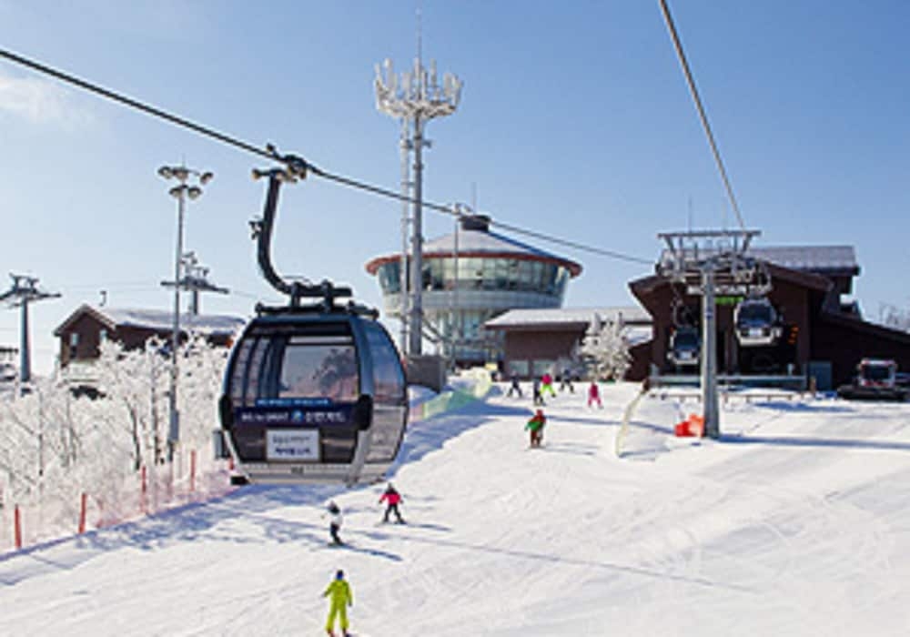 스키 및 겨울 스포츠