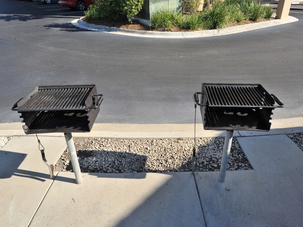 BBQ/피크닉 공간