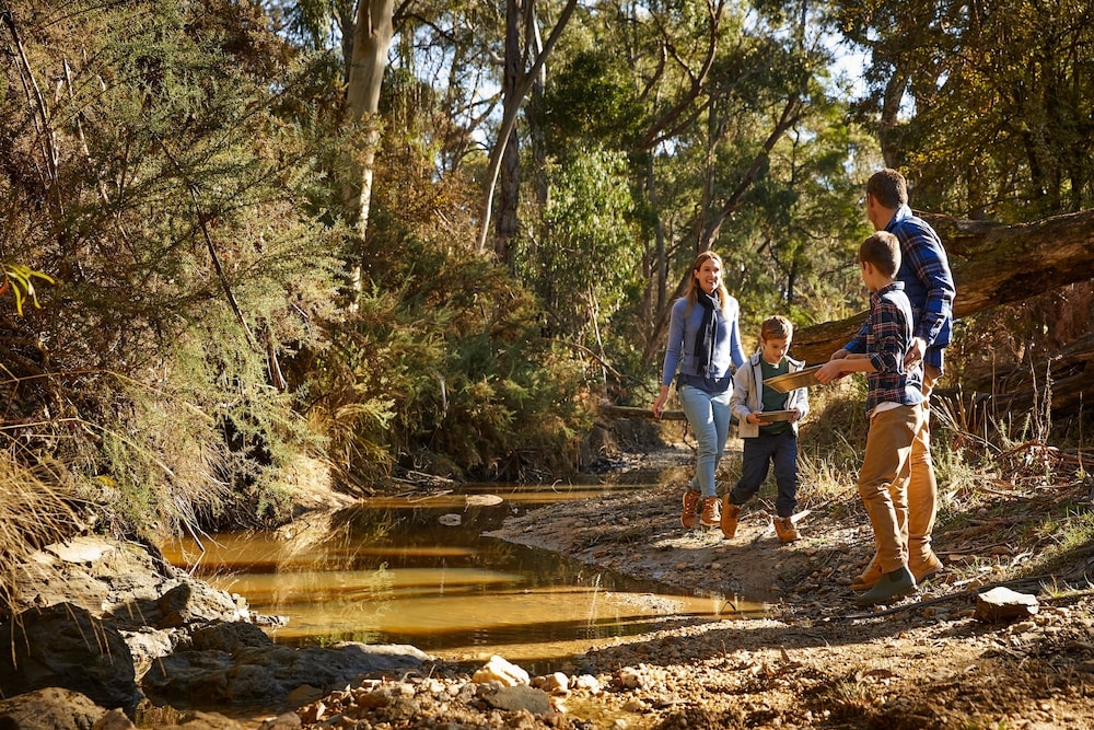 어린이 즐길거리