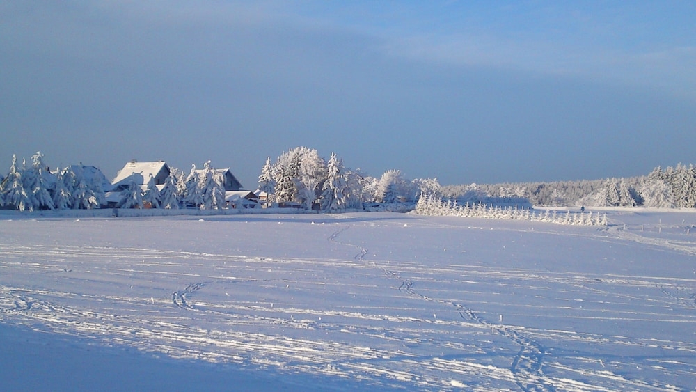 스키 및 겨울 스포츠