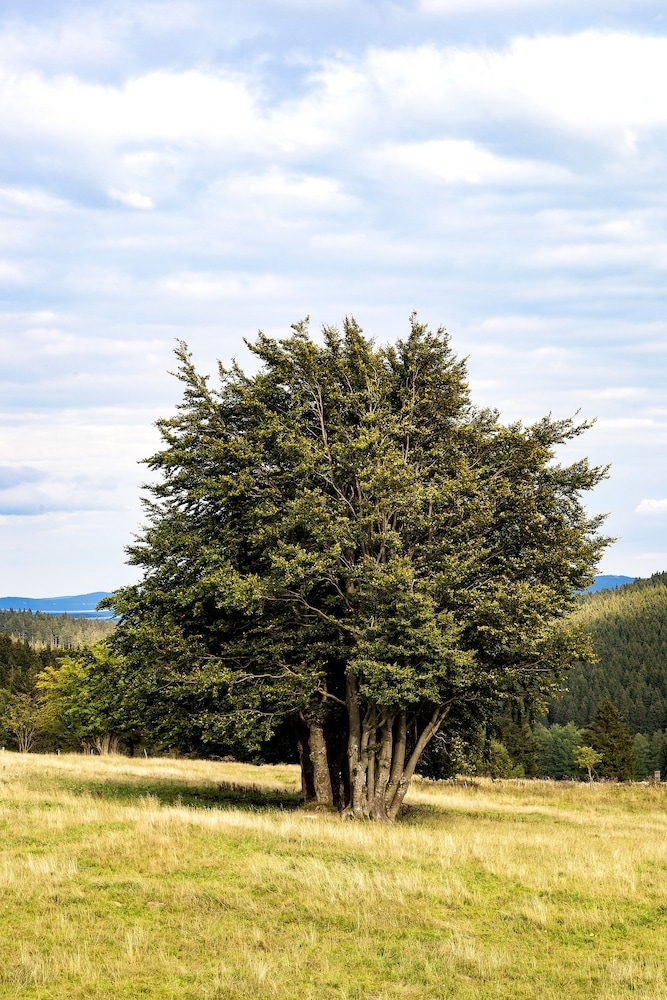 숙박 시설의 전망