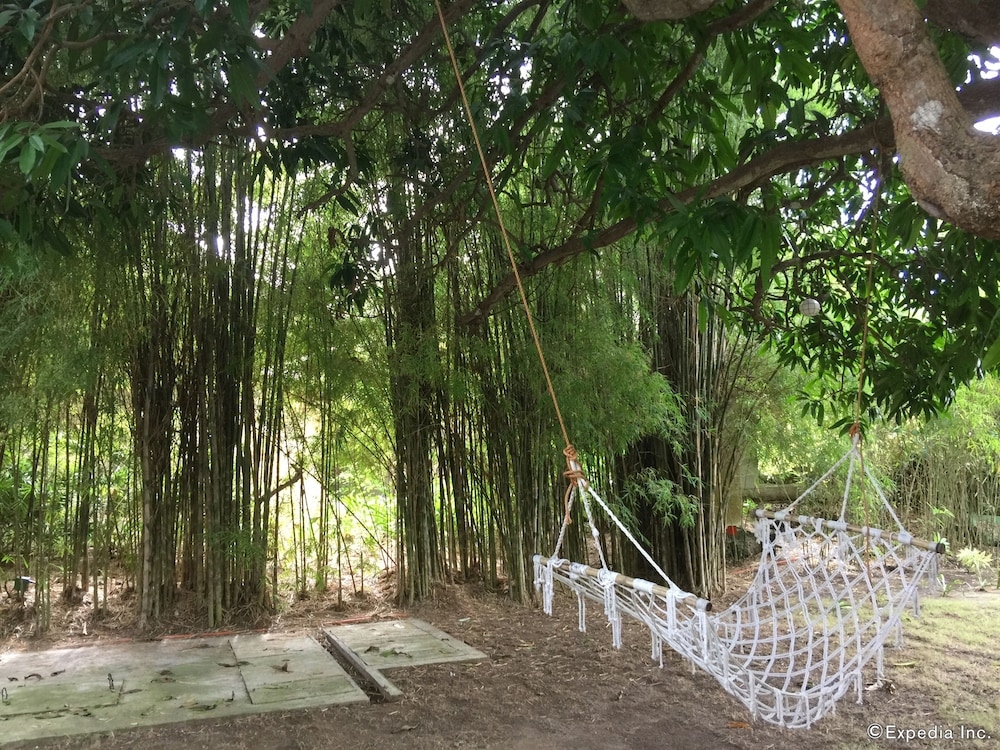 숙박 시설 내 편의 시설/서비스