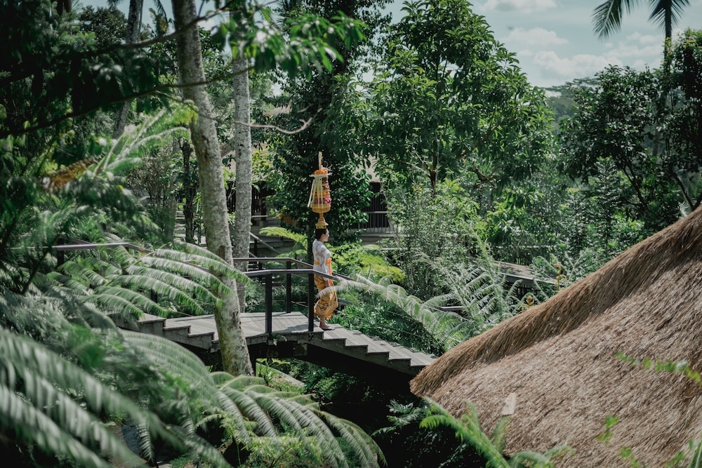 숙박 시설 구내