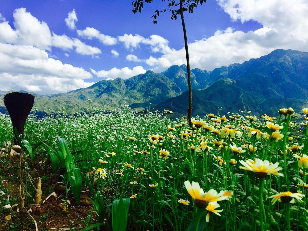 숙박 시설 내 편의 시설/서비스