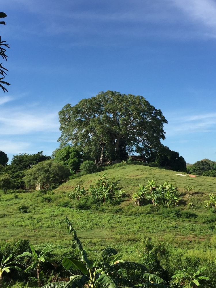 숙박 시설 구내