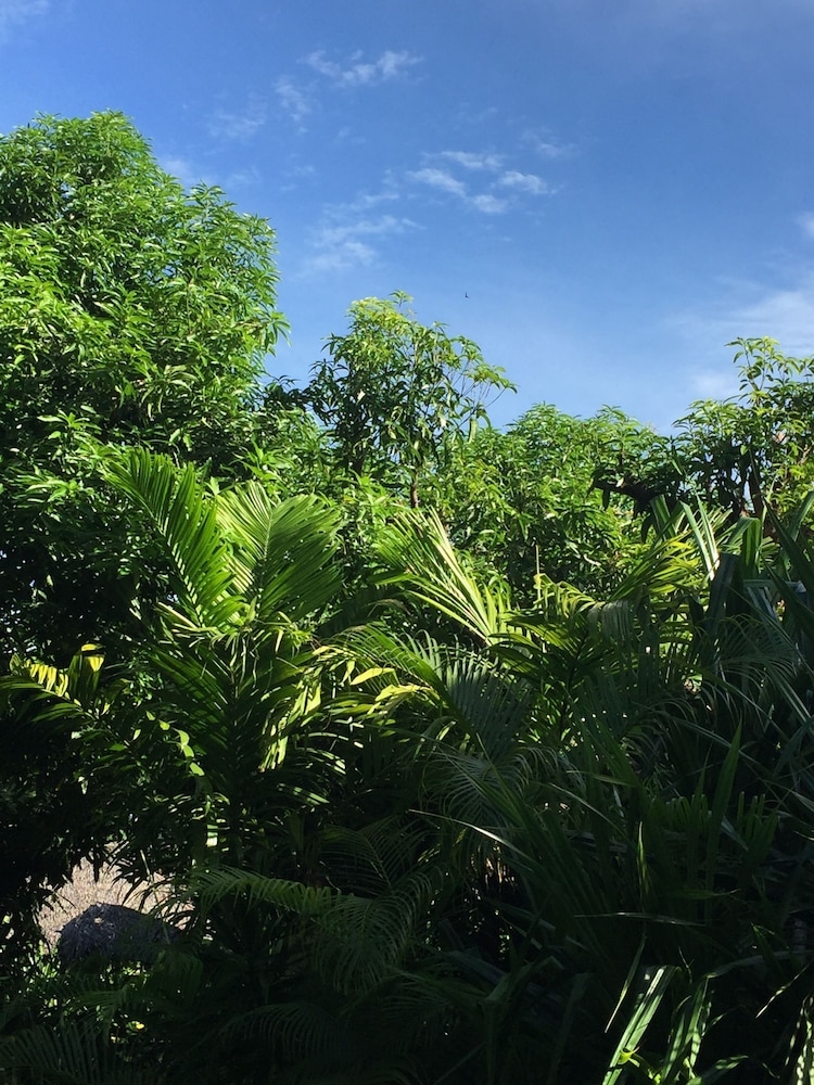 객실에서 보이는 전망