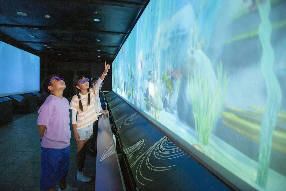 어린이 놀이 공간 - 실내