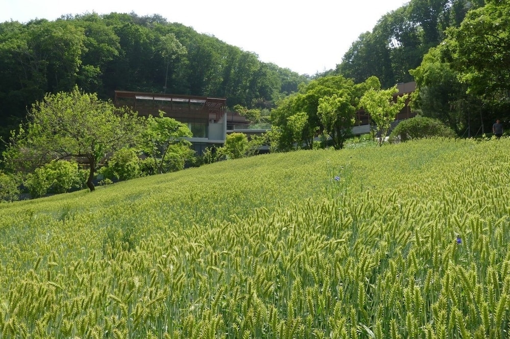 숙박 시설 구내