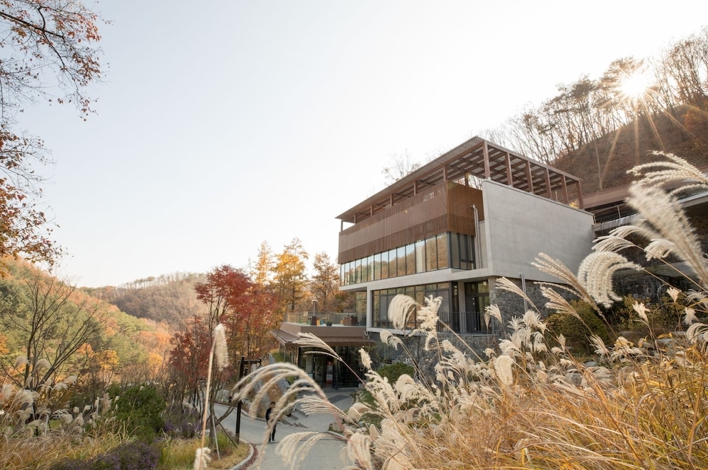 숙박 시설 구내