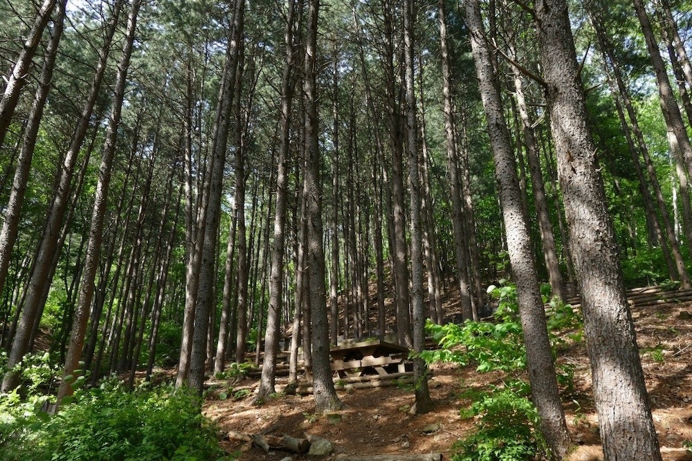 숙박 시설 구내