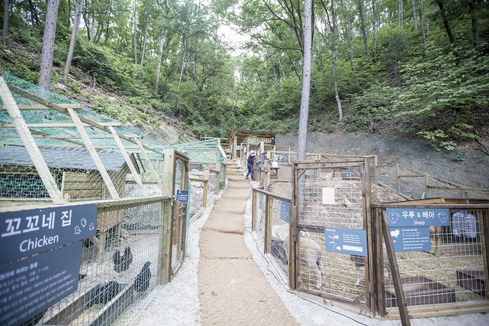 어린이 놀이 공간 - 야외