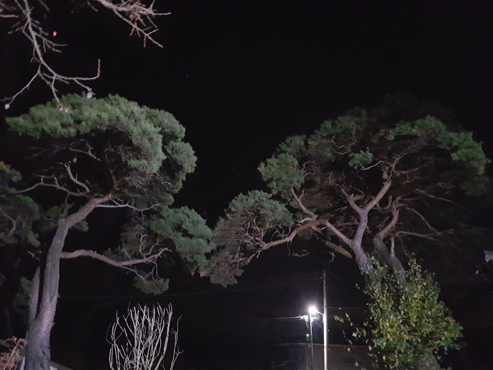 객실에서 보이는 전망