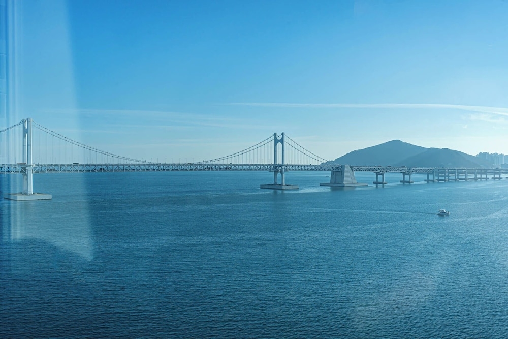 해변/바다 전망