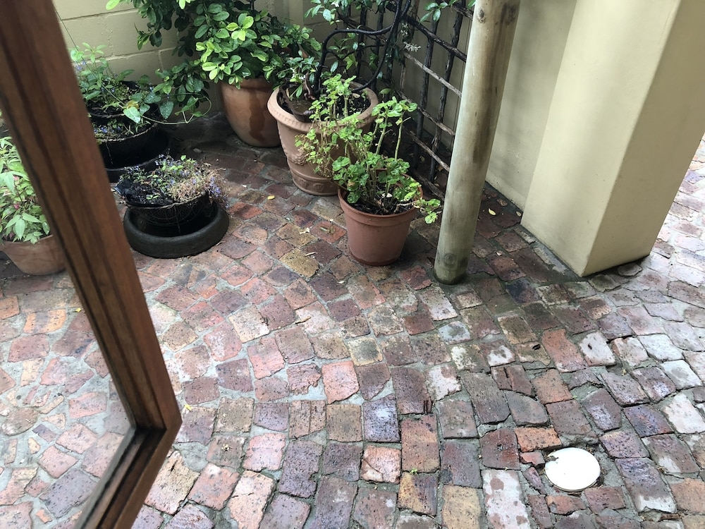 객실에서 보이는 전망