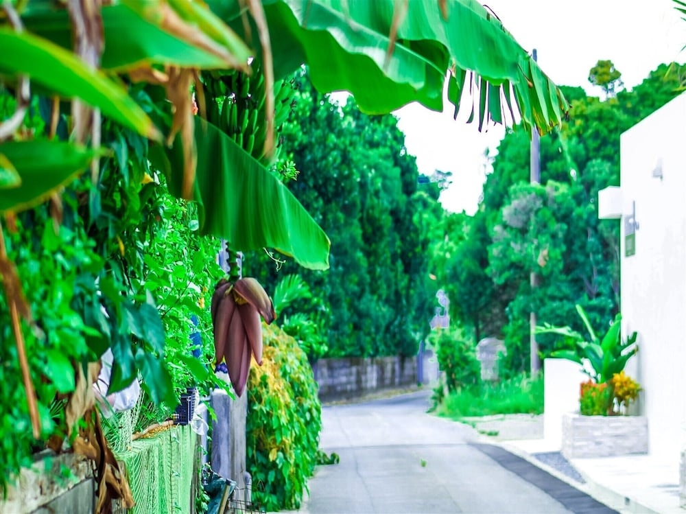 숙박 시설의 전망