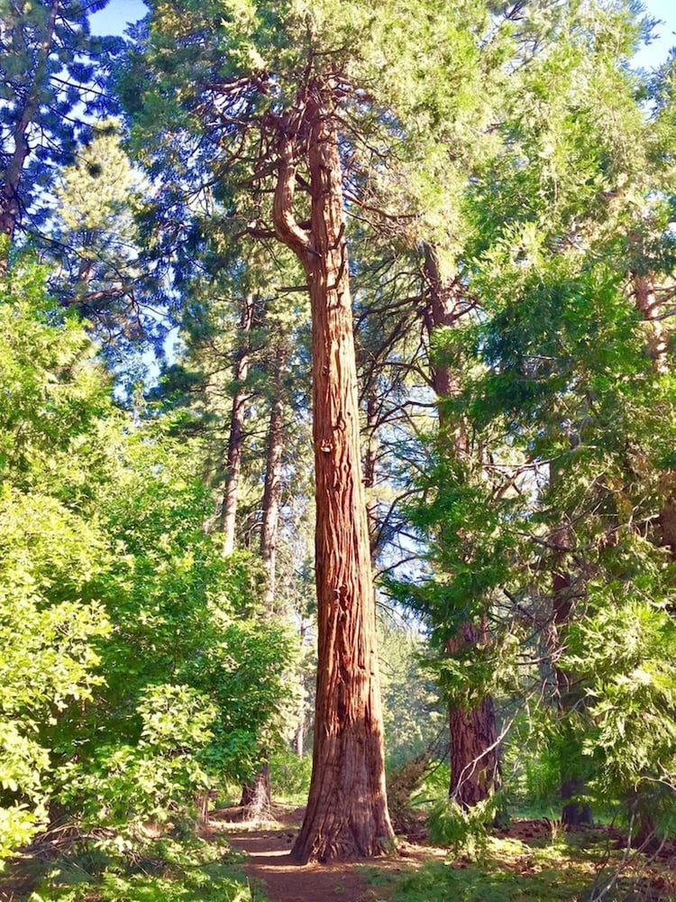 숙박 시설 구내