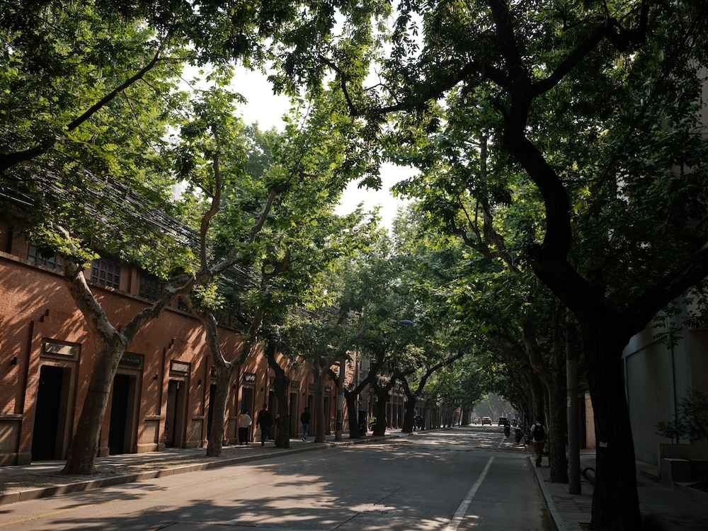 숙박 시설의 전망