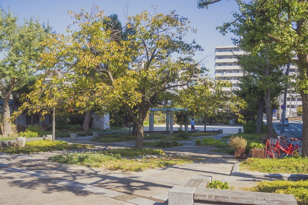 숙박 시설에서 보는 시내 전망