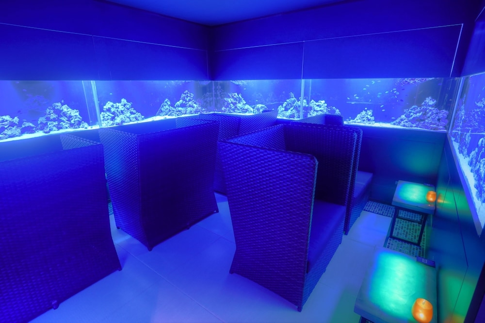 바(숙박 시설 내)