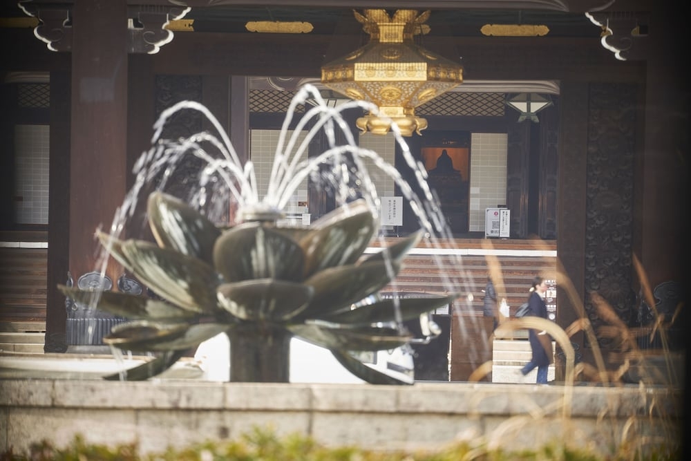 숙박 시설에서 보는 주변 전망