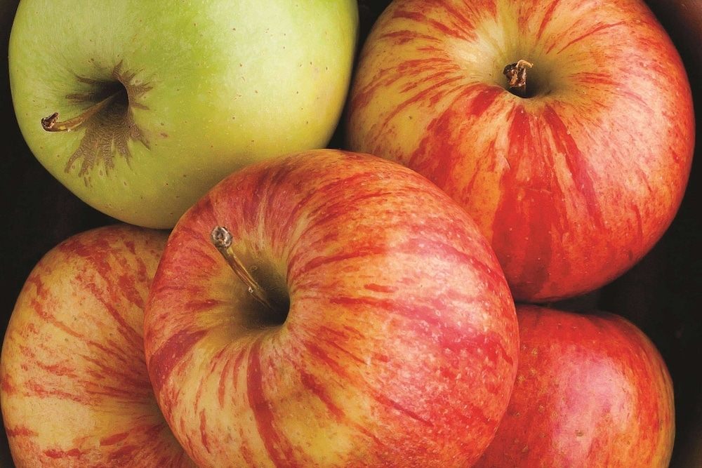 숙박 시설 내 편의 시설/서비스