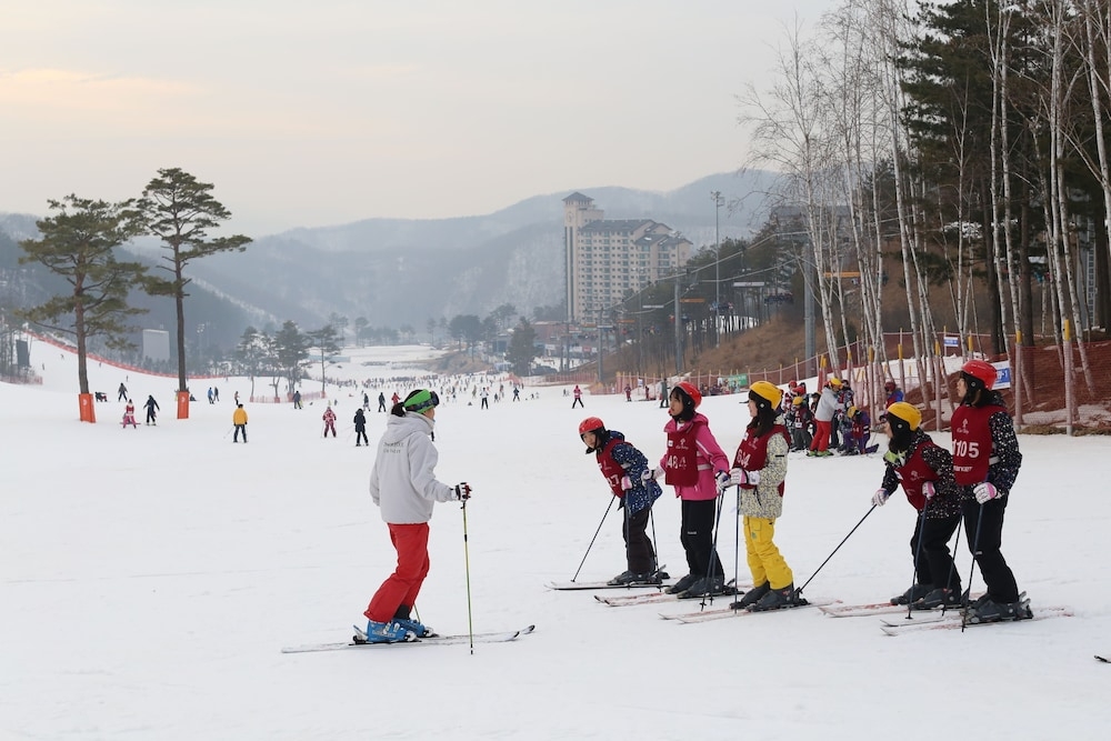 스키 및 겨울 스포츠