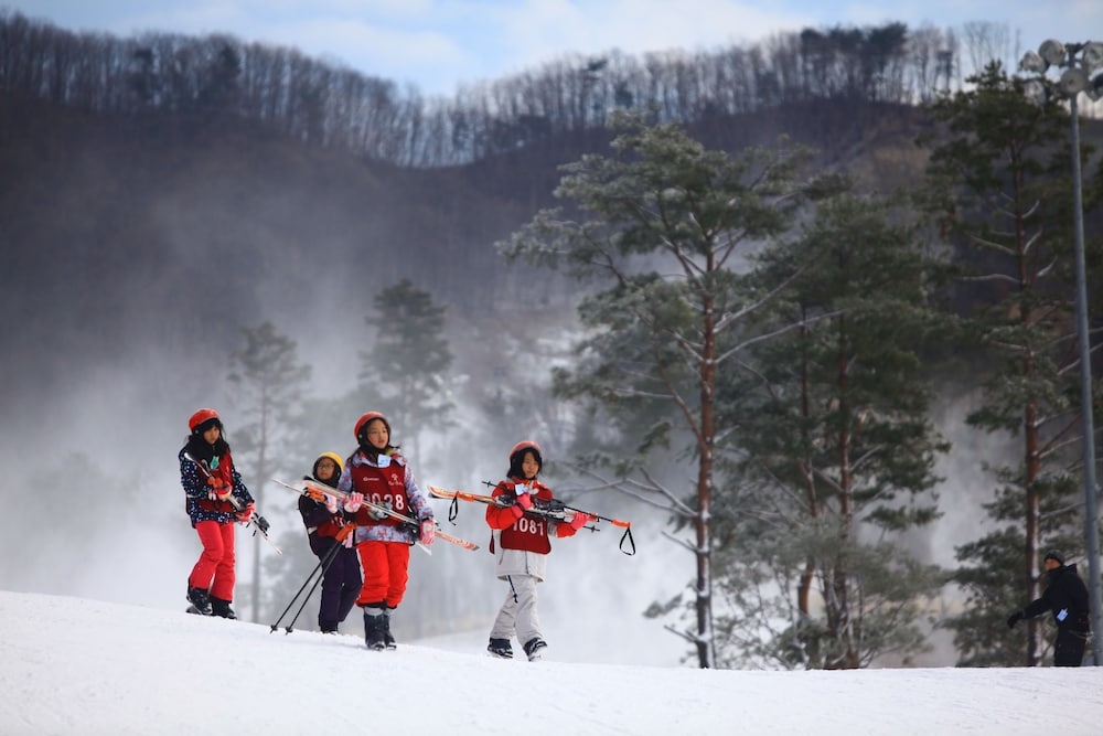 스키 및 겨울 스포츠