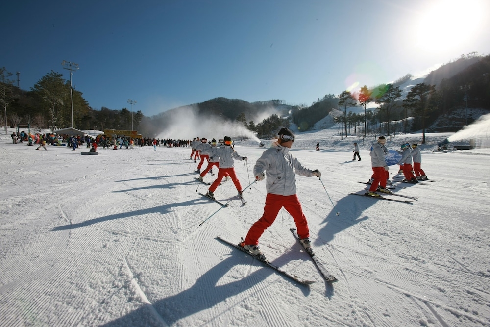 스키 및 겨울 스포츠