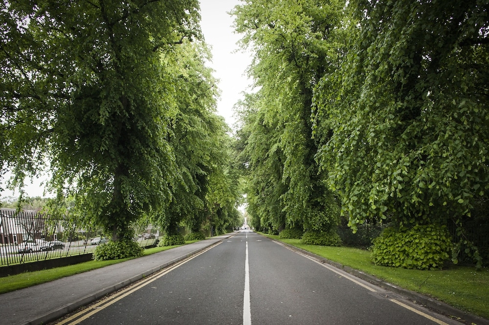 숙박 시설의 전망